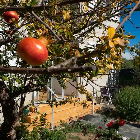 Lejlighed Climatise Avec Jardin *
