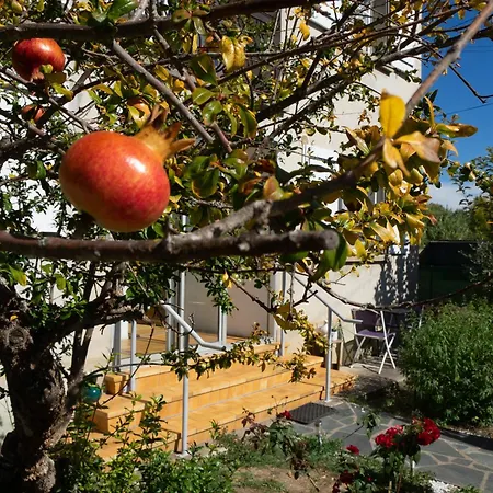 Climatise Avec Jardin شقة *