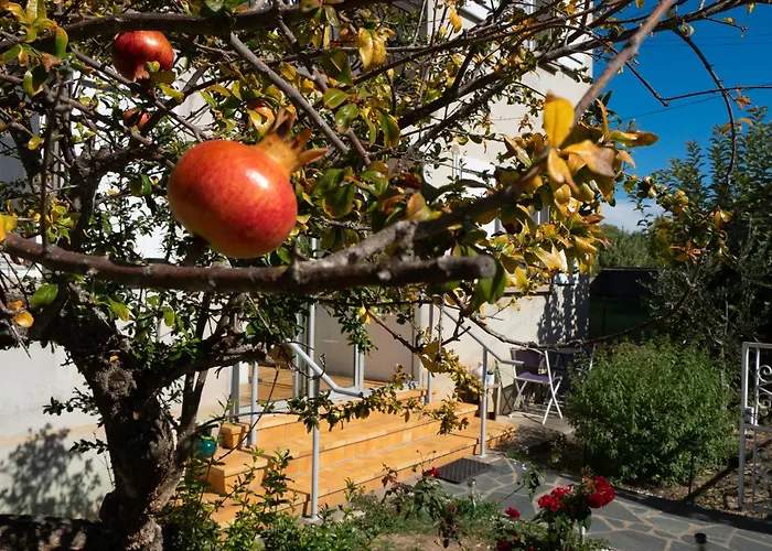Apartamento Climatise Avec Jardin *